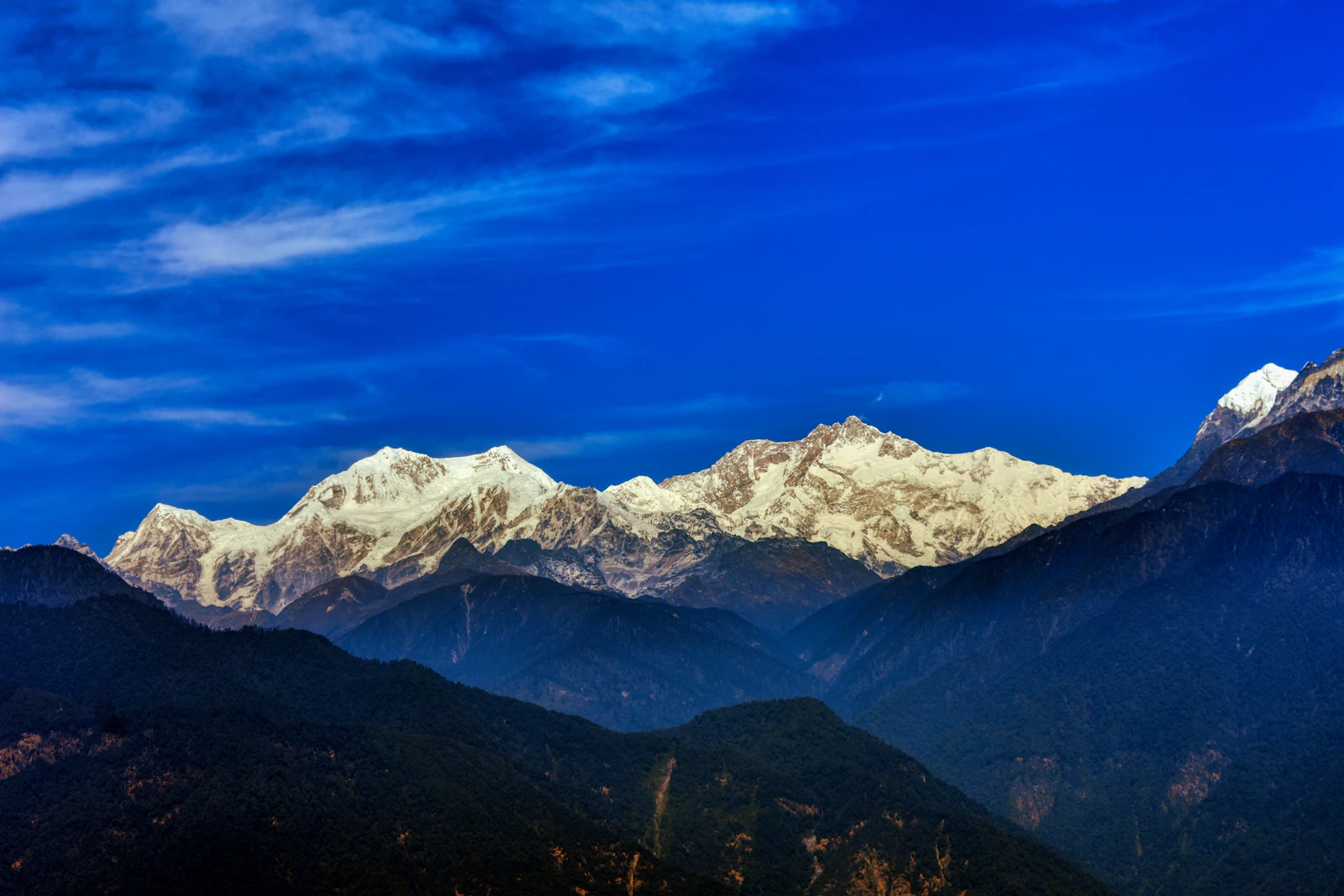 Kanchenjunga and its neighbouring snow peaks under a deep blue sky, seen across forested ridges from Pelling in West Sikkim