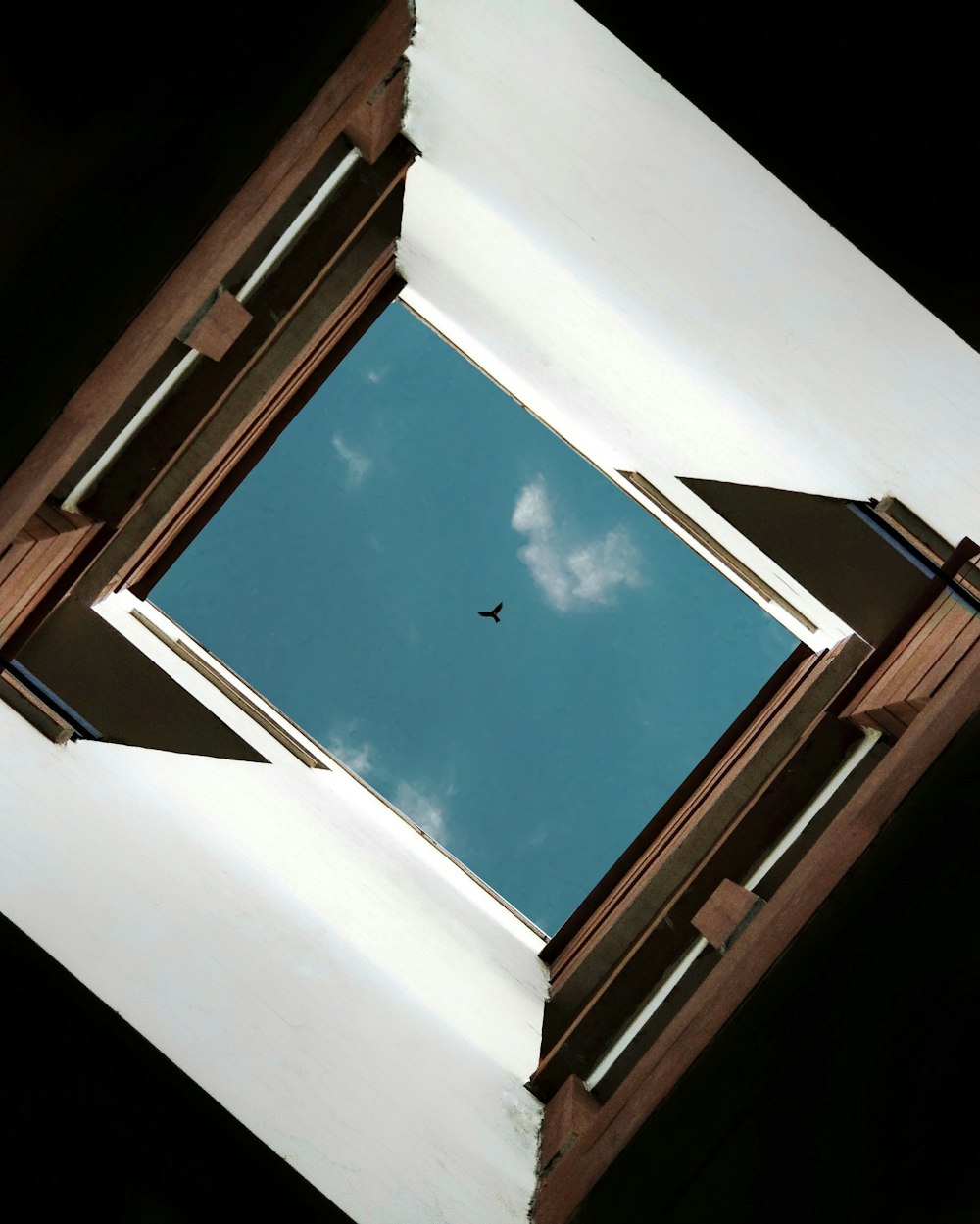 a window with a bird flying in the sky