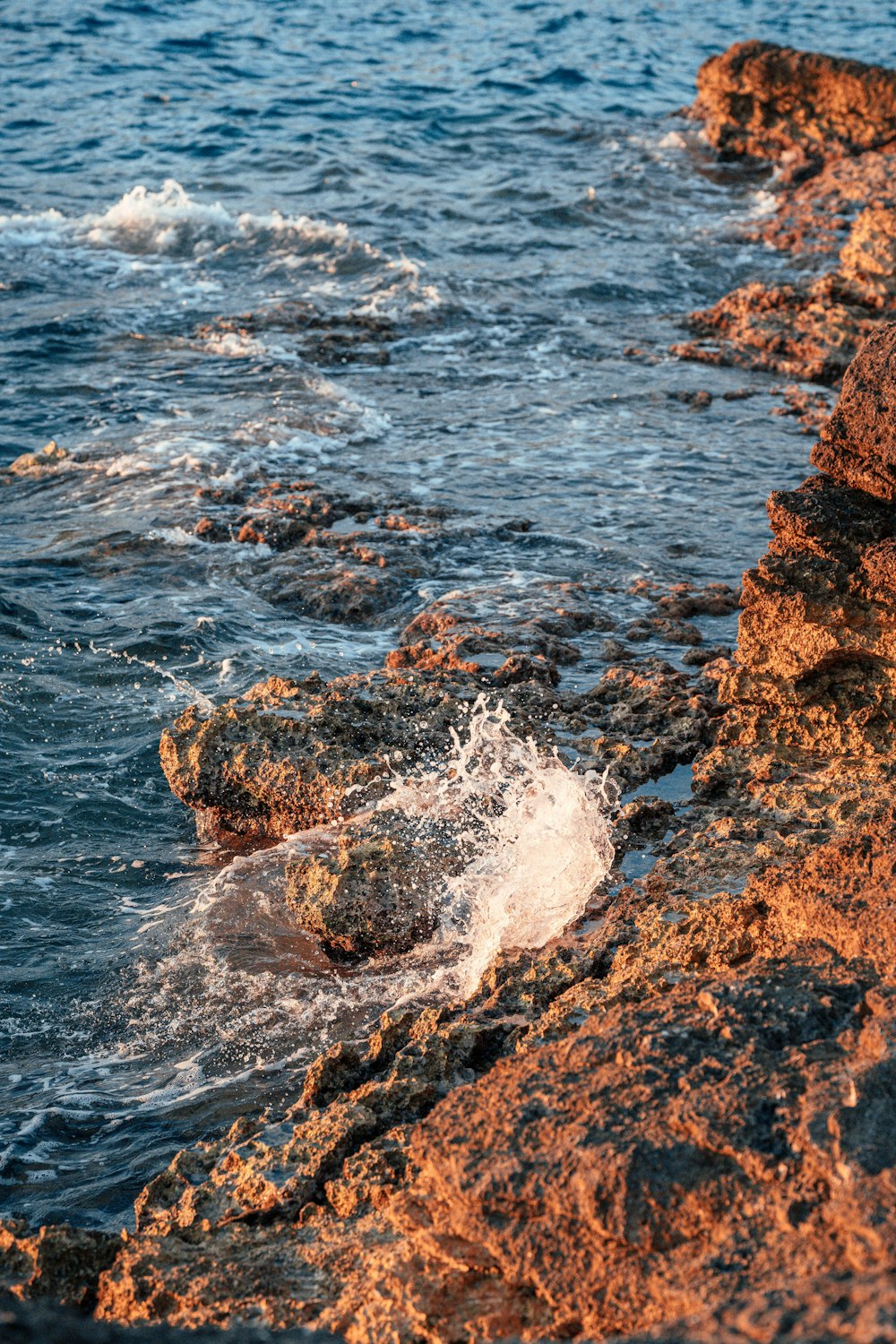 a bird sitting on a rock next to the ocean