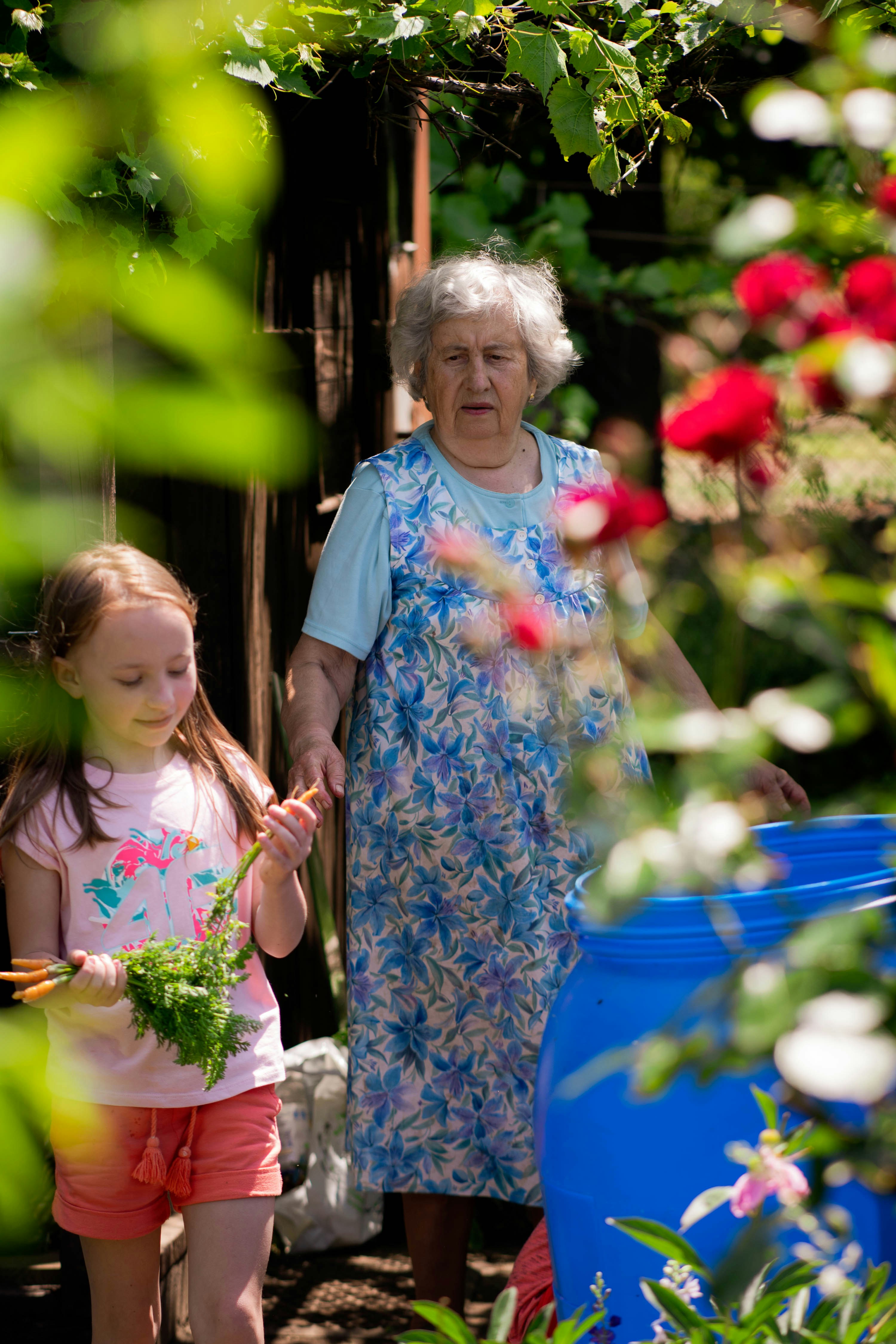 Gardening tools for seniors: An elderly woman using a lightweight tool in her garden