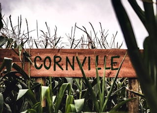 Cornville
