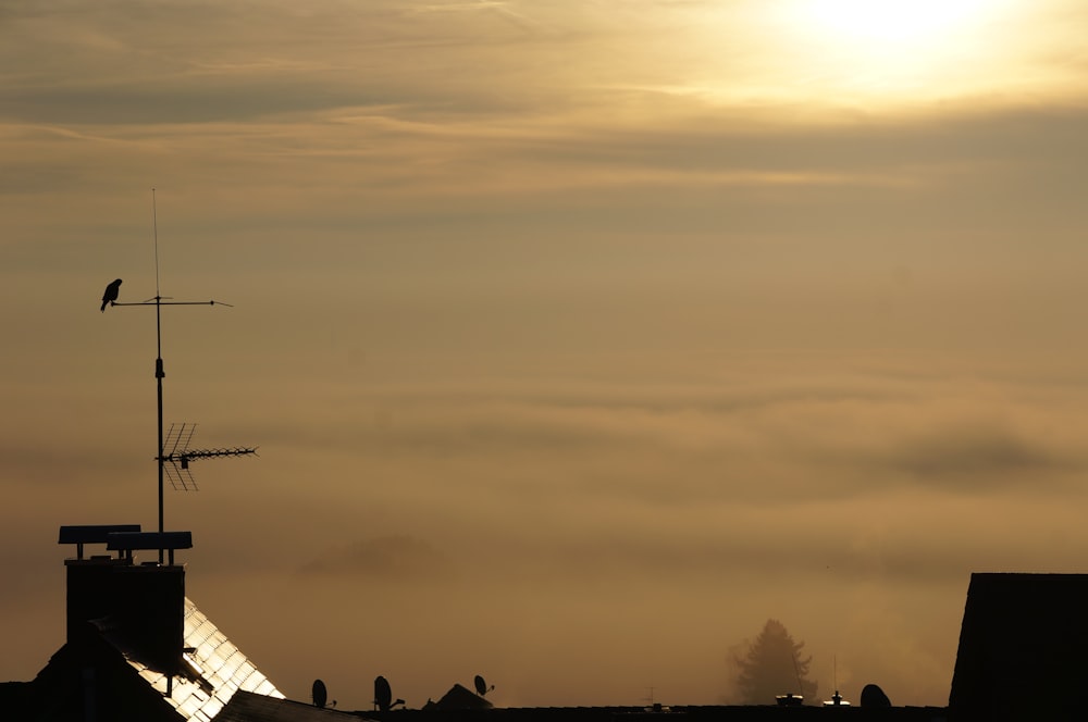 a bird is sitting on the roof of a building