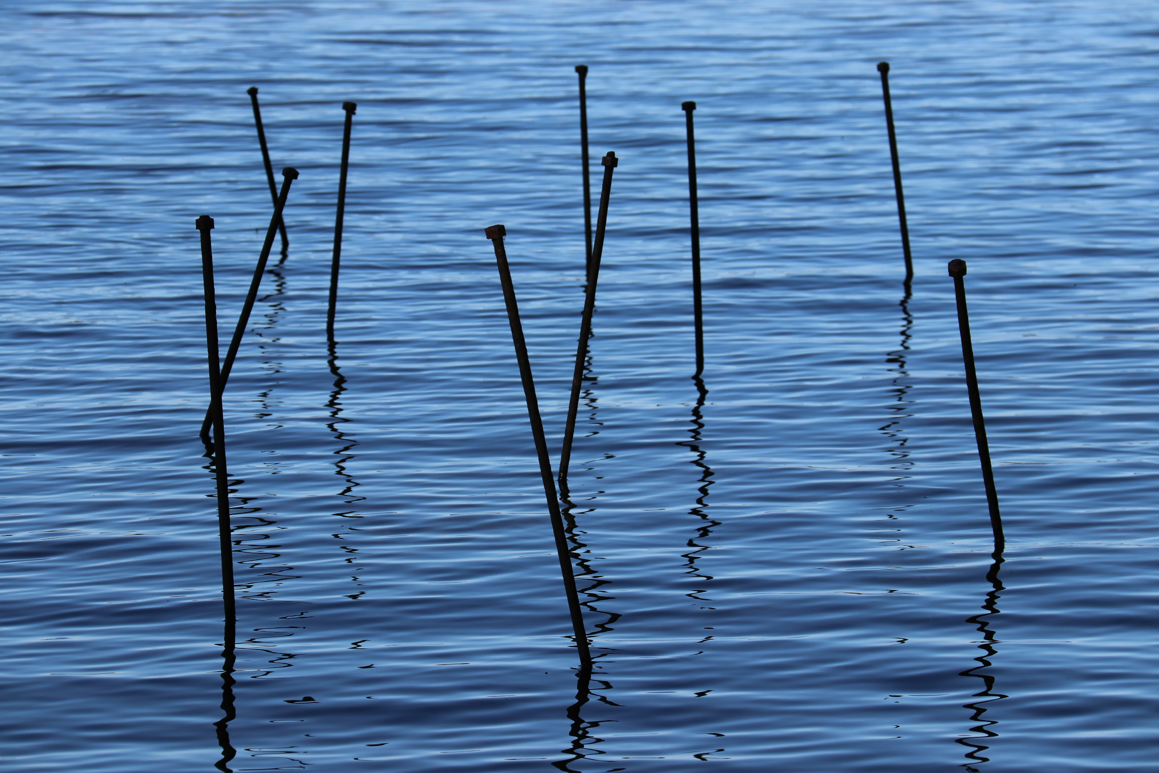a group of sticks sticking out of the water