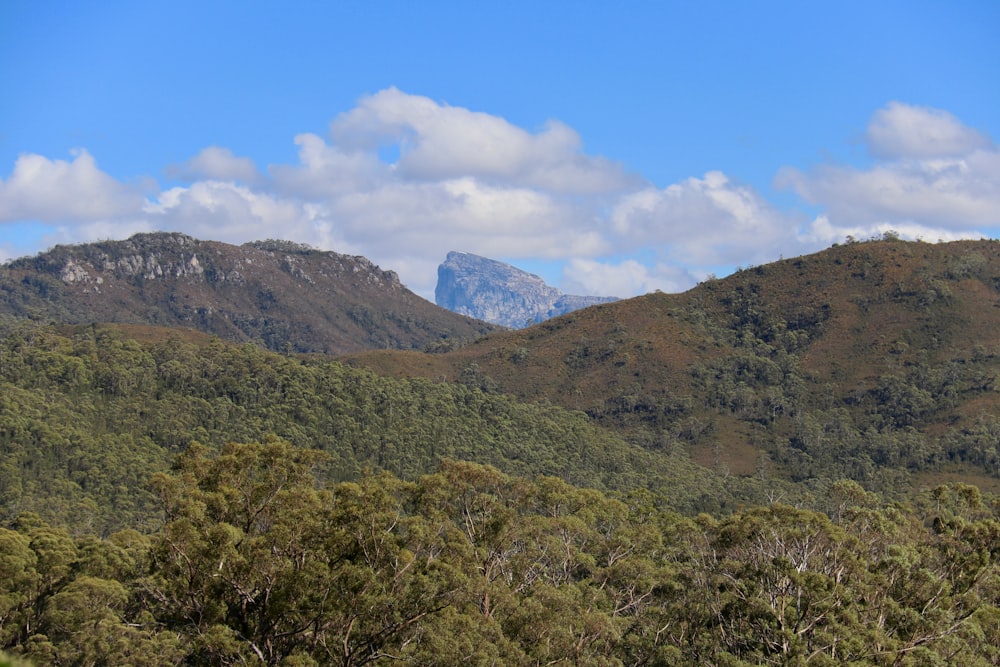 a view of a mountain range with trees in the foreground