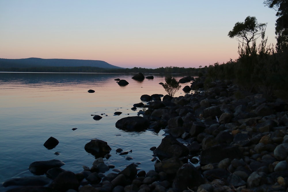 a body of water surrounded by rocks and trees