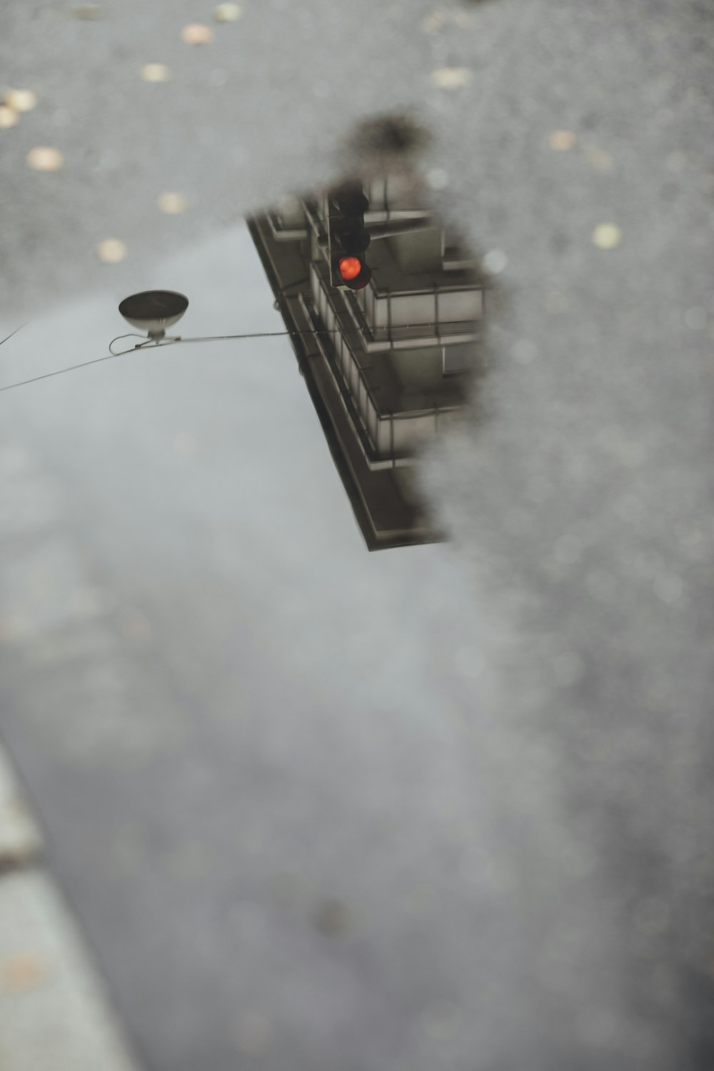 a reflection of a traffic light in a puddle of water