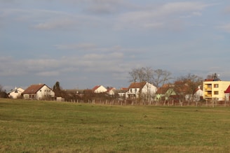 A rural scene featuring a grassy field in the foreground, with a line of houses in the background. The houses have a variety of architectural styles and colors, including white, green, and yellow. Several leafless trees are scattered among the houses under a cloudy sky.