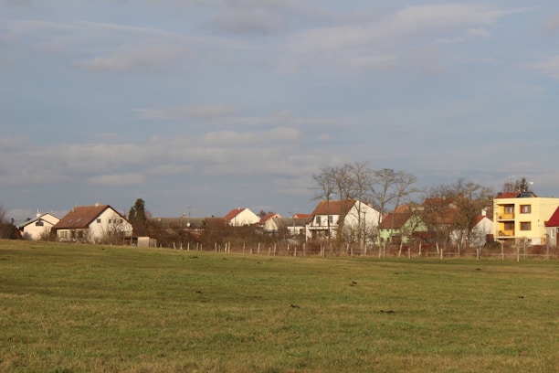 A rural scene featuring a grassy field in the foreground, with a line of houses in the background. The houses have a variety of architectural styles and colors, including white, green, and yellow. Several leafless trees are scattered among the houses under a cloudy sky.