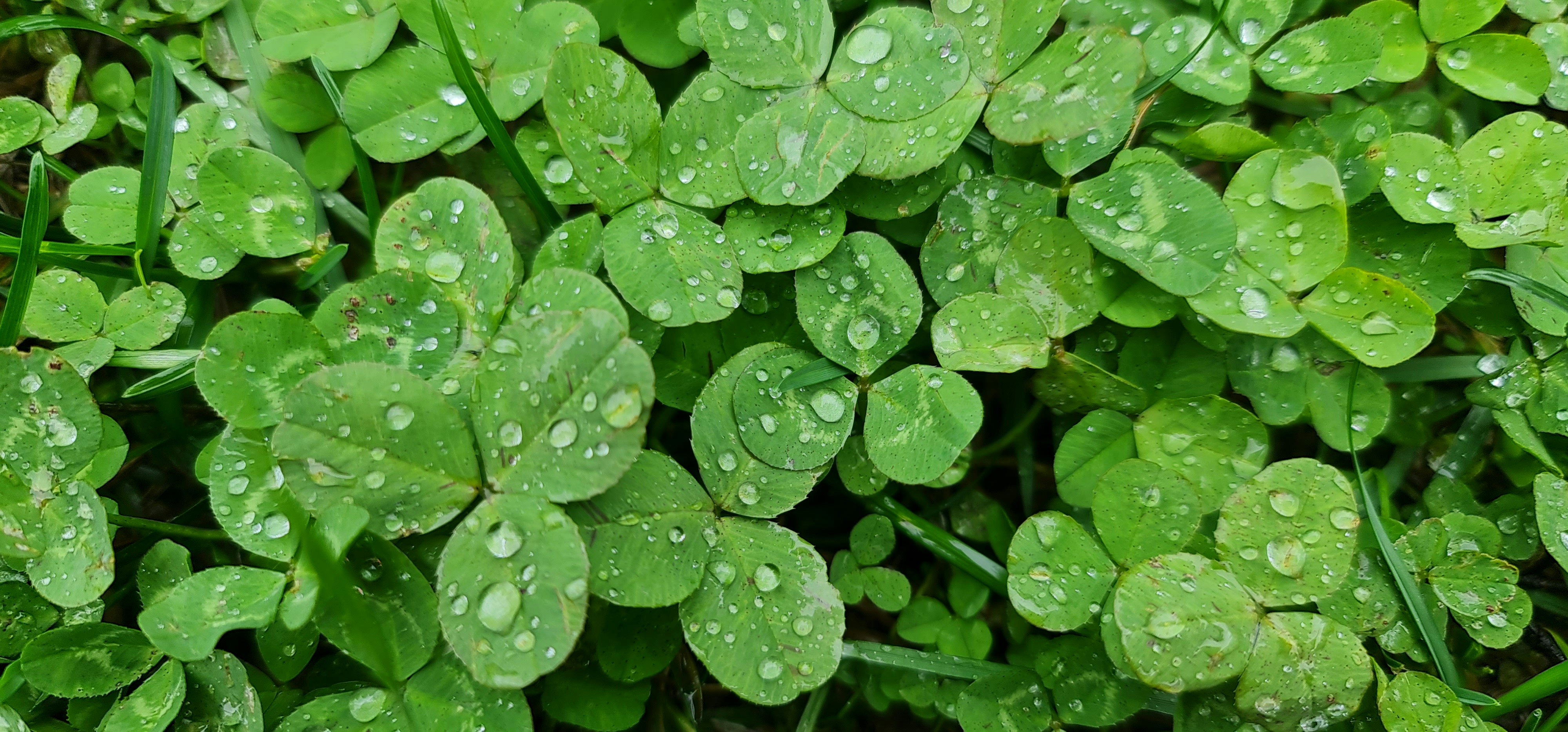 Photo by lucyana282003