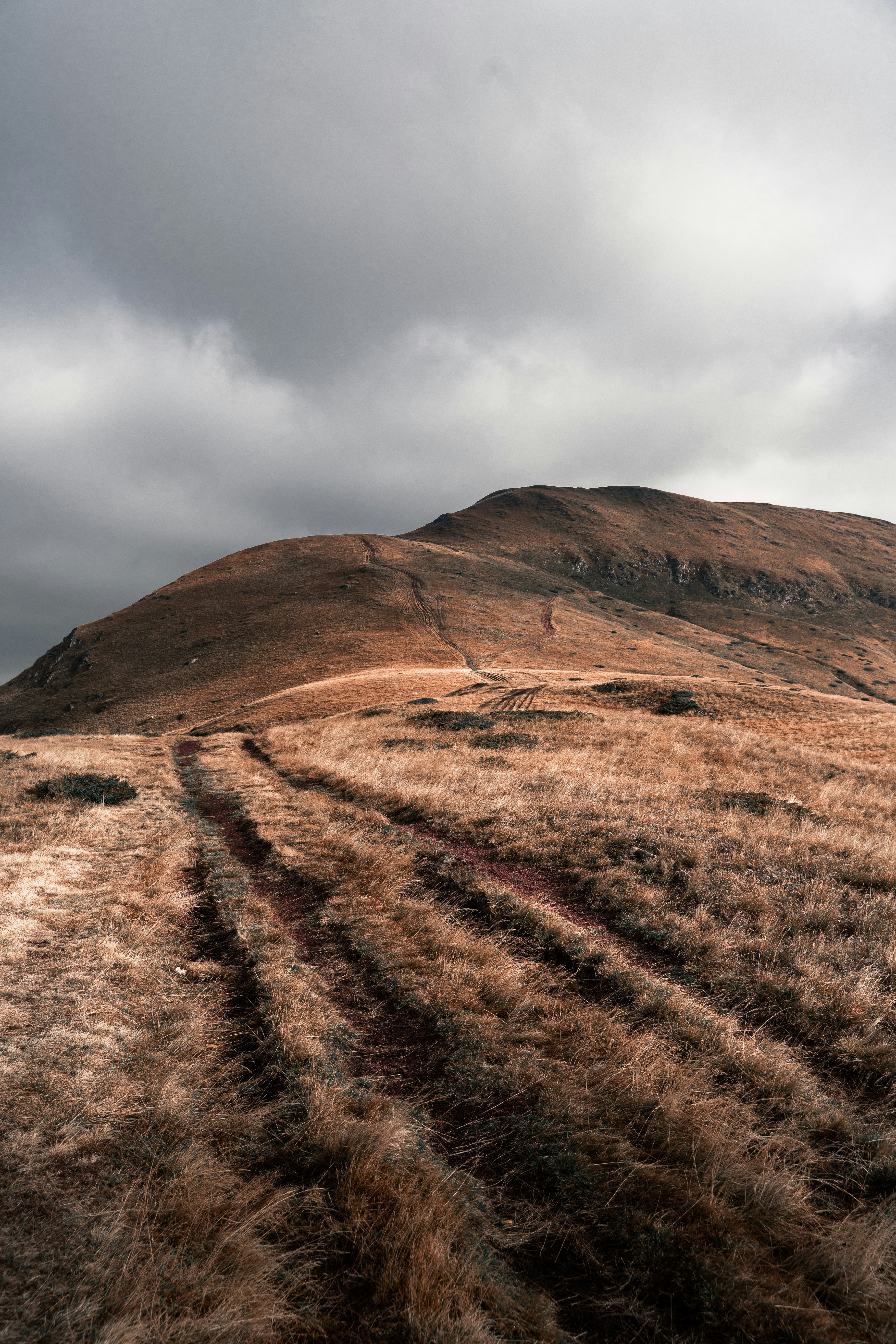 Photo by djordjevukojicic