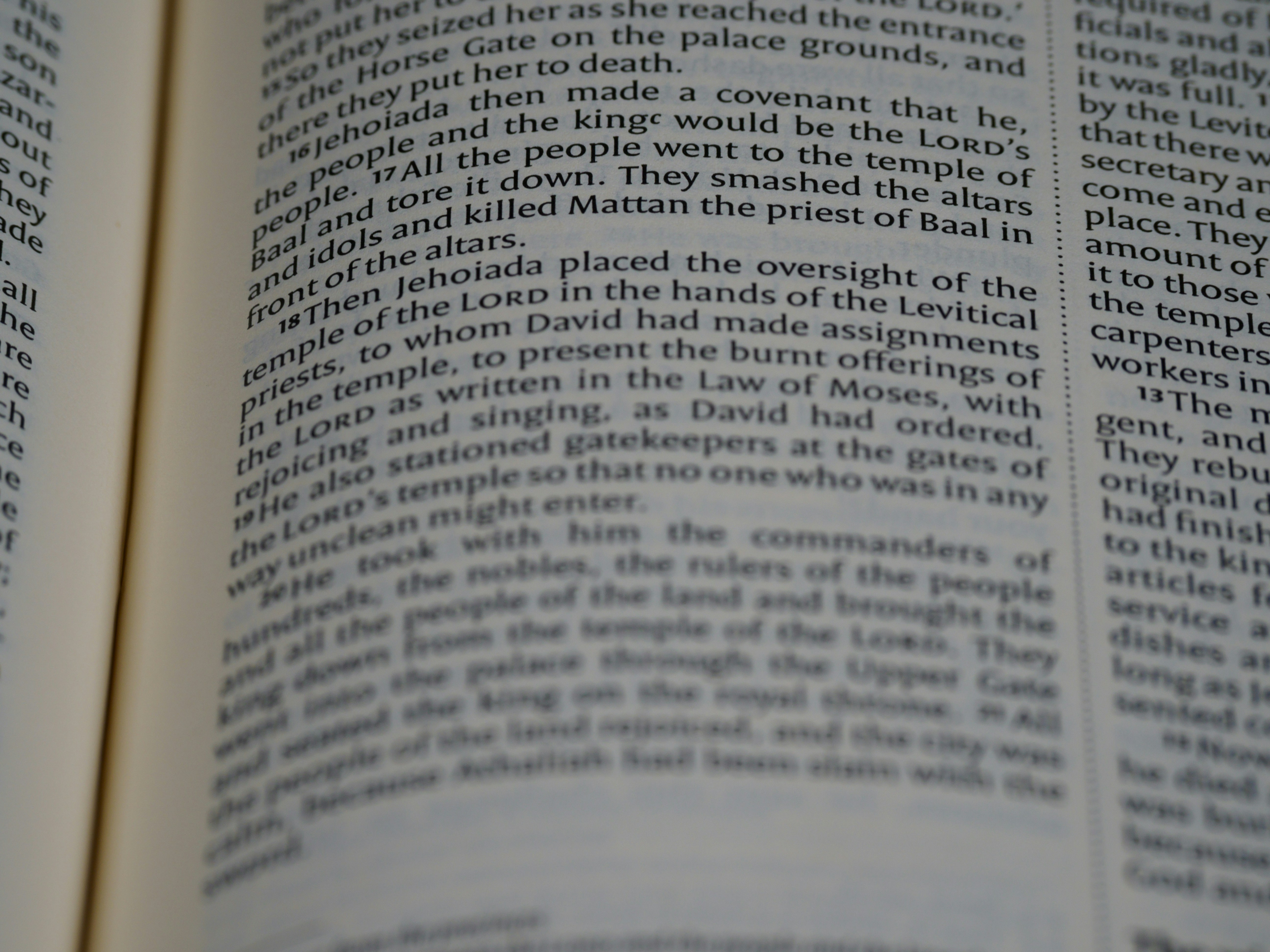 close up, bokeh, macro, blur, blurred background, close focus, bible, old testament, hebrew bible, christian, judaism, history, text, reading, bible study, devotions, text, NIV, New International Version, type, typography, canon, christianity, holy scripture, holy bible, scripture, chronicles, 2 chronicles, דִּבְרֵי־הַיָּמִים, Diḇrê Hayyāmîm, hebrew bible, final book, ketuvim, tanakh, septuagint, Paralipoménōn,  Books of Paralipomenon, second chronicles, historical, ancient near east texts, anet, <br />