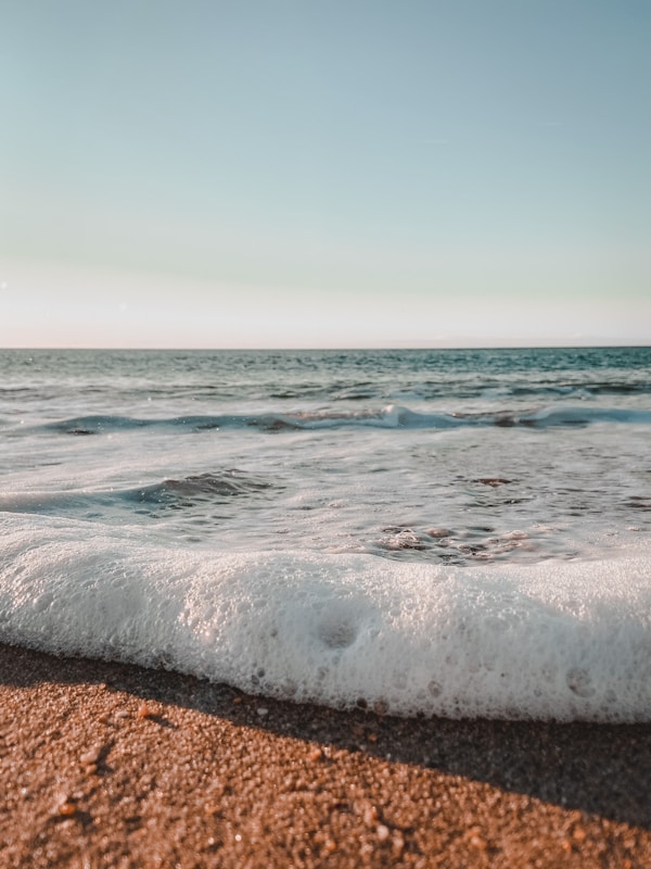 Exploring Anglet's Authentic Cuisine: Local Dishes, Restaurants & Traditional Recipes