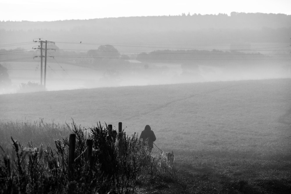 a person walking a dog in a foggy field