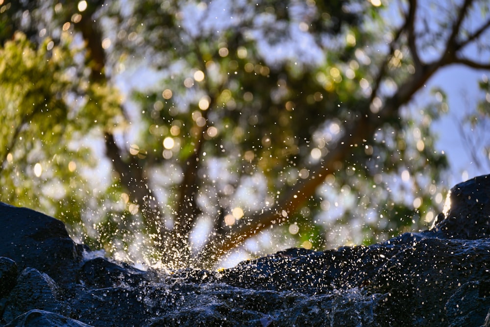 a close up of a water spewing out of a rock