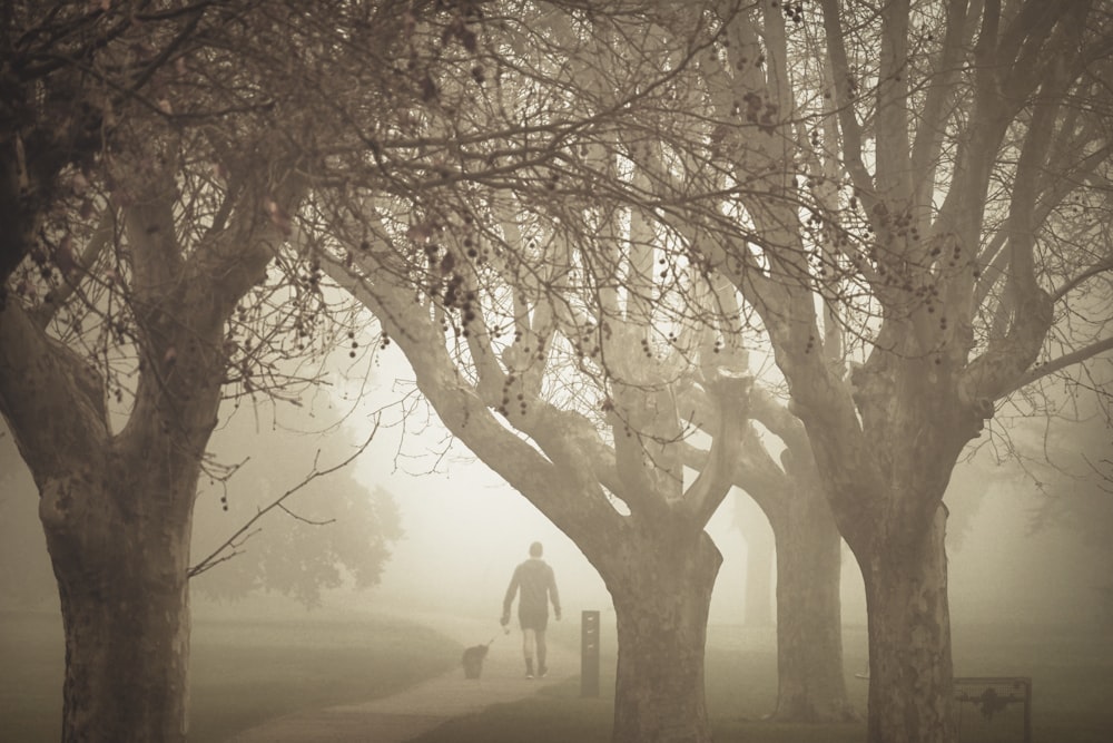 a man walking down a foggy path with a dog