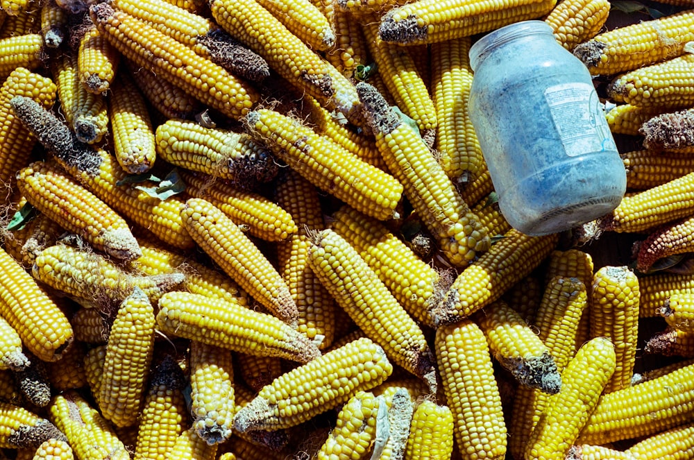 a bottle of water sitting on top of a pile of corn