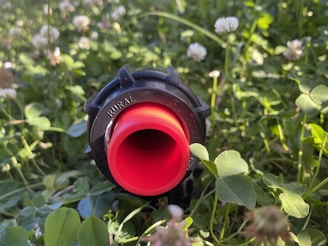 A red nozzle or pipe fitting is positioned horizontally among dense patches of green clover and grass. The surrounding vegetation has white clover flowers, and sunlight creates a warm and natural ambience.