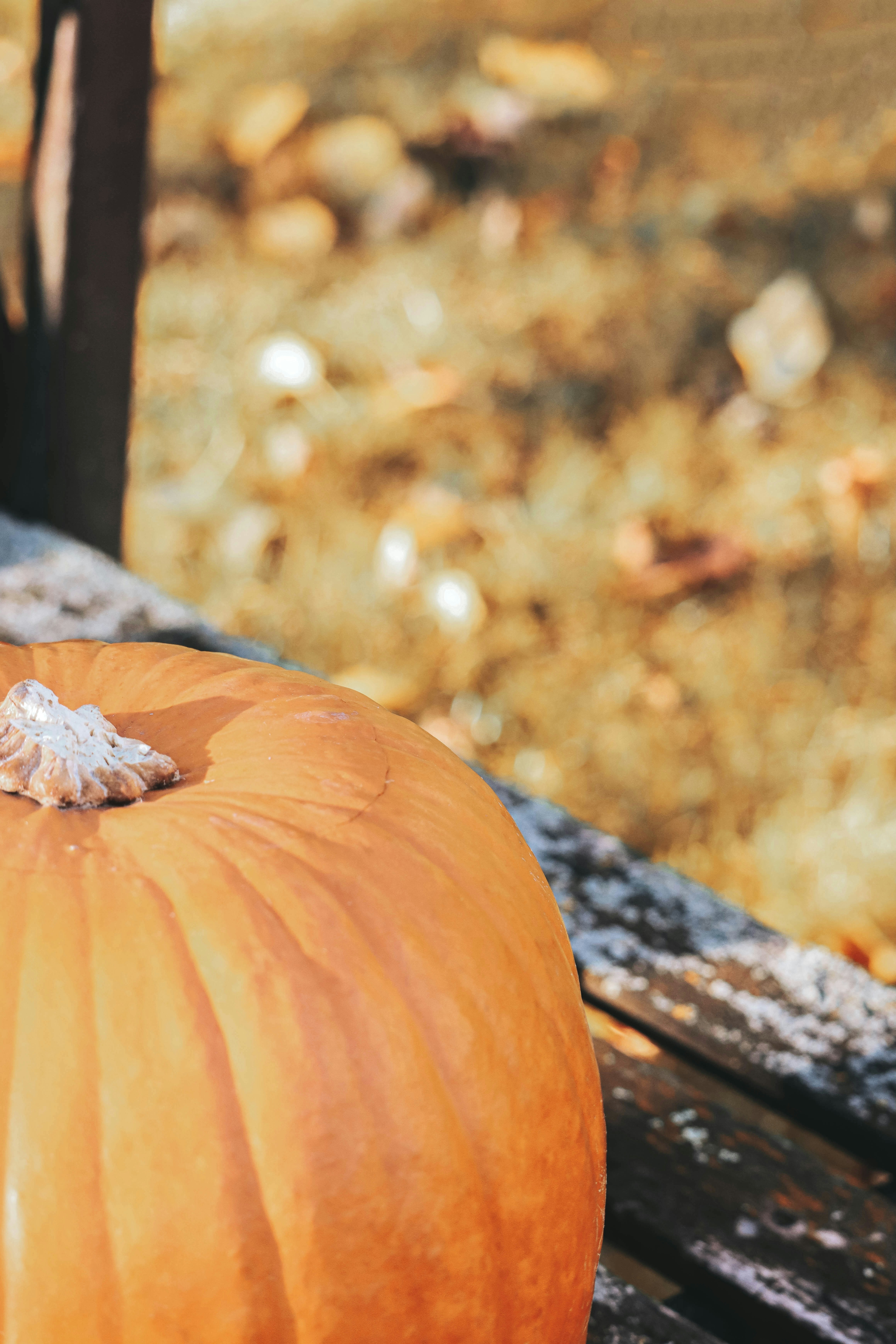 Photo by kelblovafoti