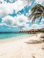 a beach with a palm tree and a hut in the background