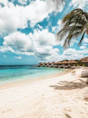 a beach with a palm tree and a hut in the background