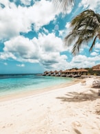 a beach with a palm tree and a hut in the background