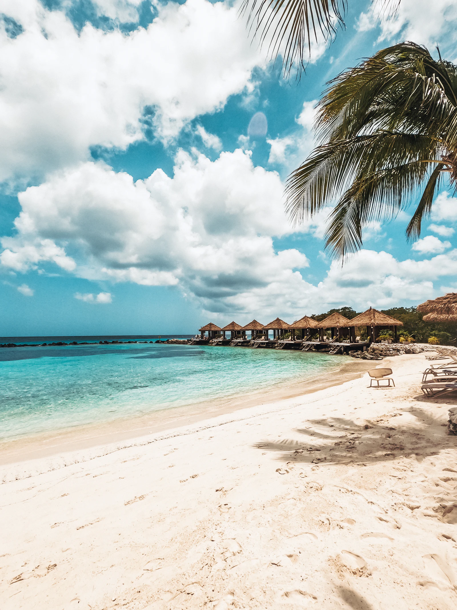 A beach with a palm tree and a thatched hut