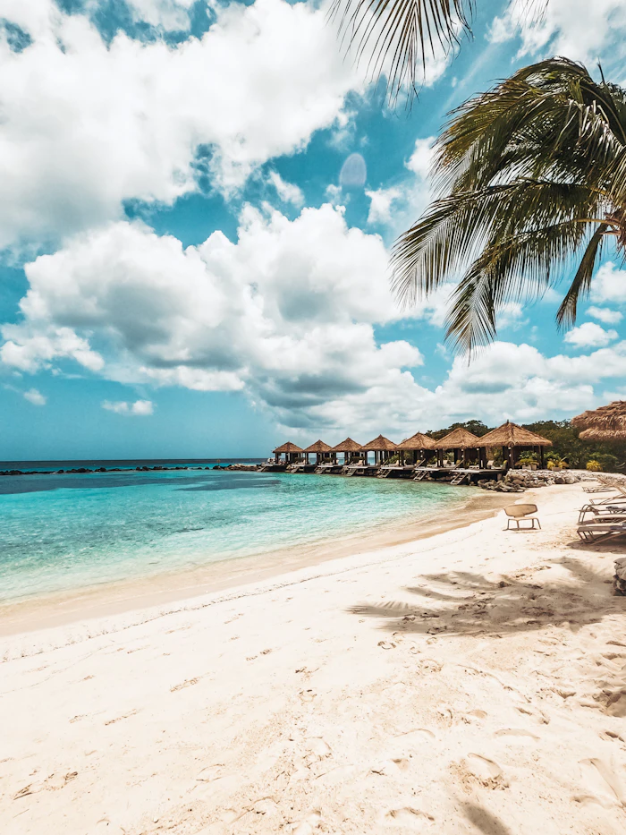 Beach hut and palm tree