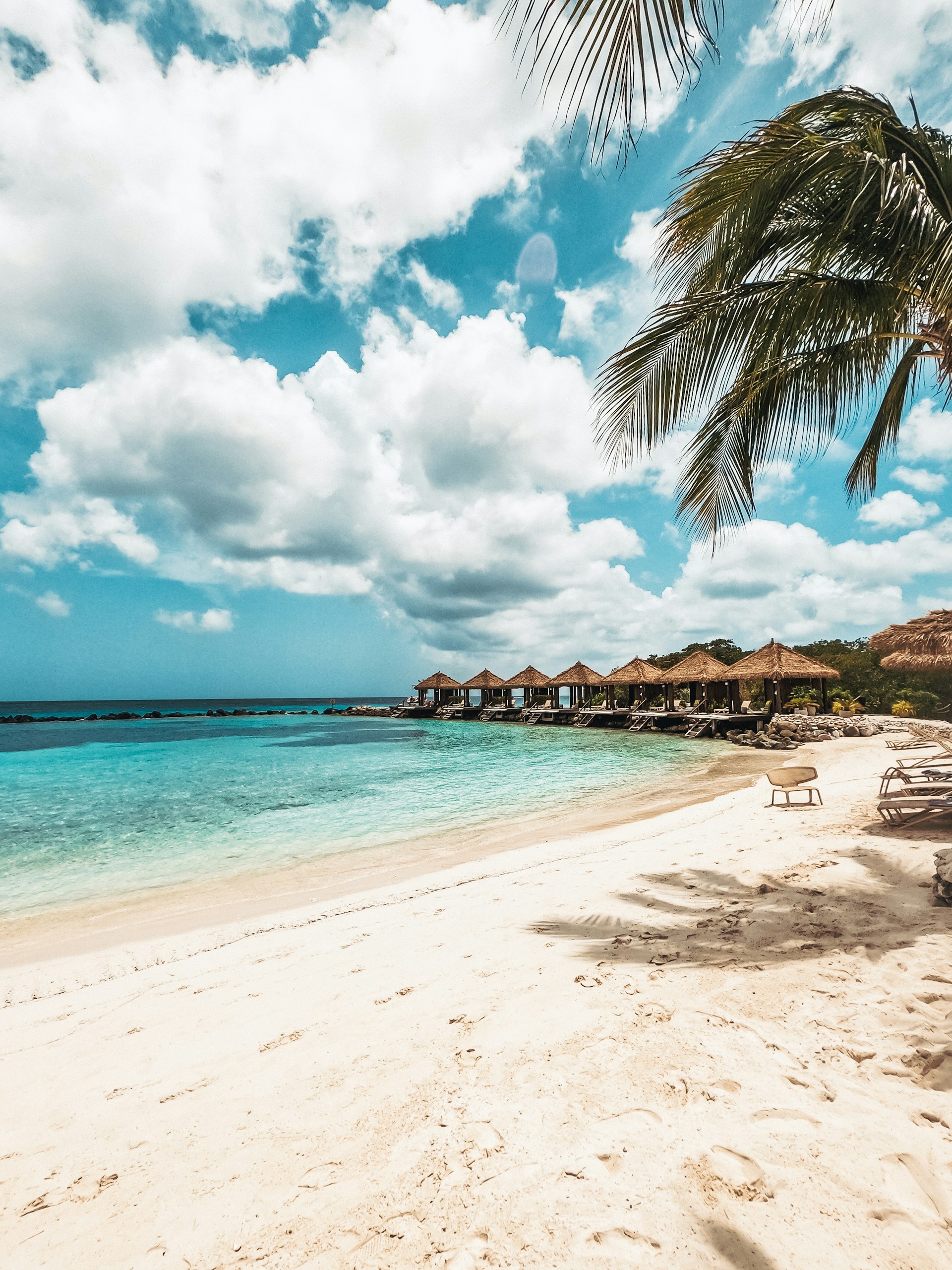 a beach with a palm tree and a hut in the background