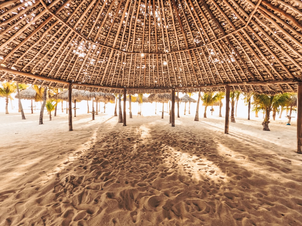 a beach covered in lots of palm trees