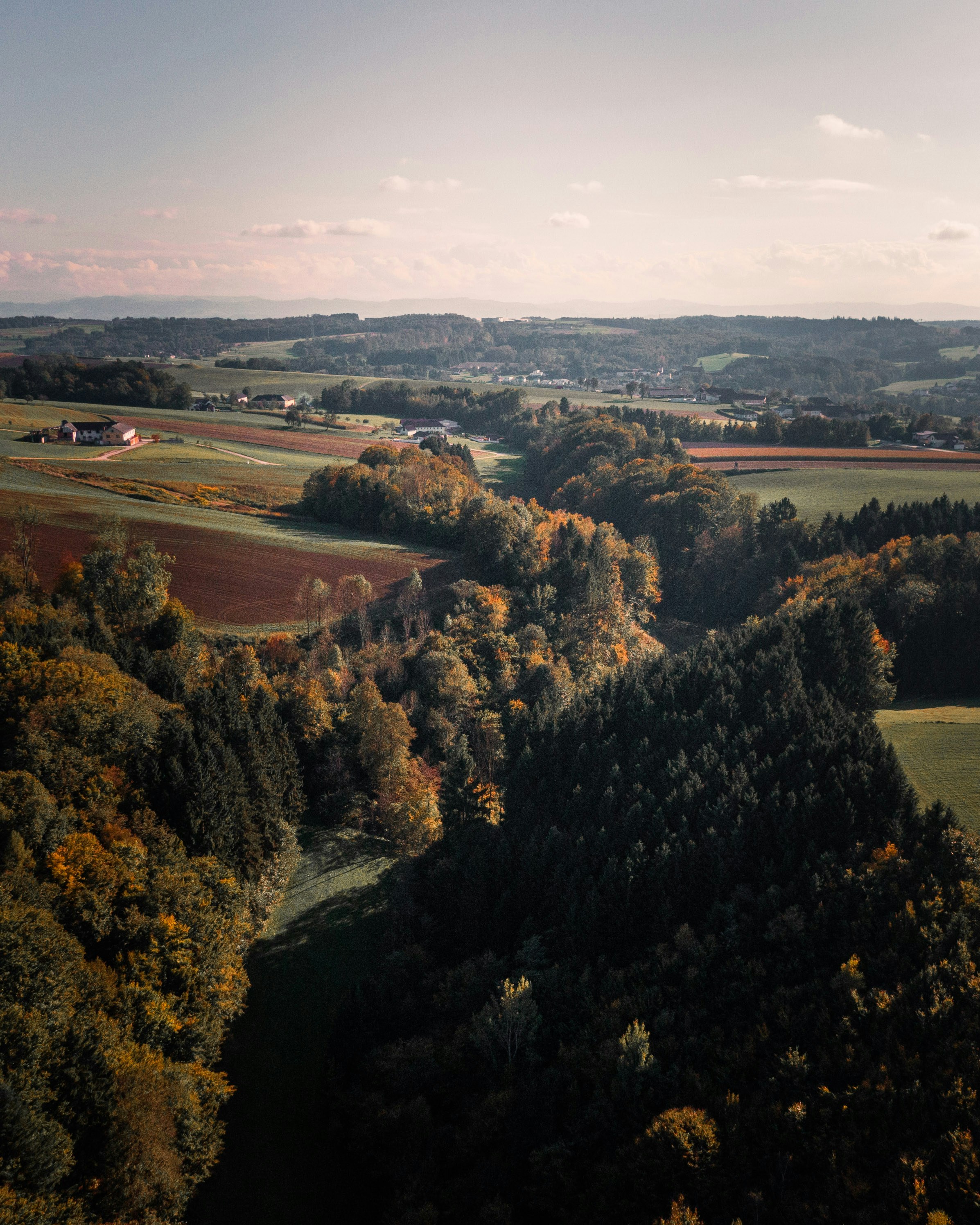 Photo by joachim_pressl