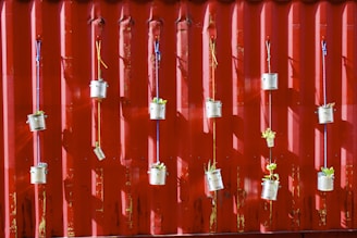 Several tin cans are suspended with colorful strings against a red corrugated metal wall. Each can contains small green plants, creating a vertical garden.