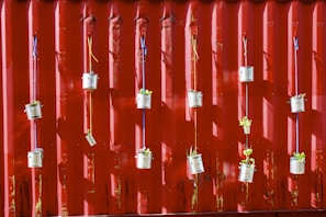 Several tin cans are suspended with colorful strings against a red corrugated metal wall. Each can contains small green plants, creating a vertical garden.