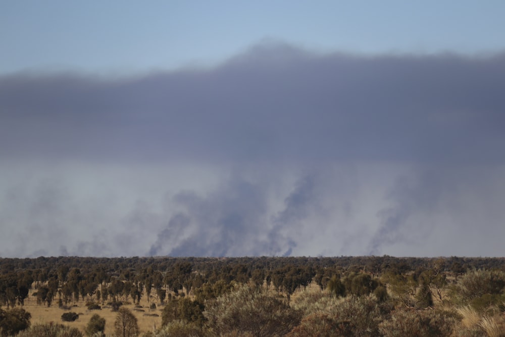 a large cloud of smoke in the distance