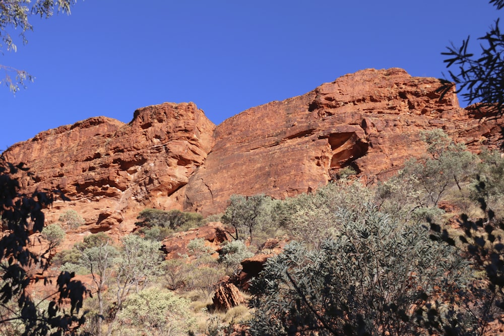 a rocky mountain with trees and bushes in the foreground