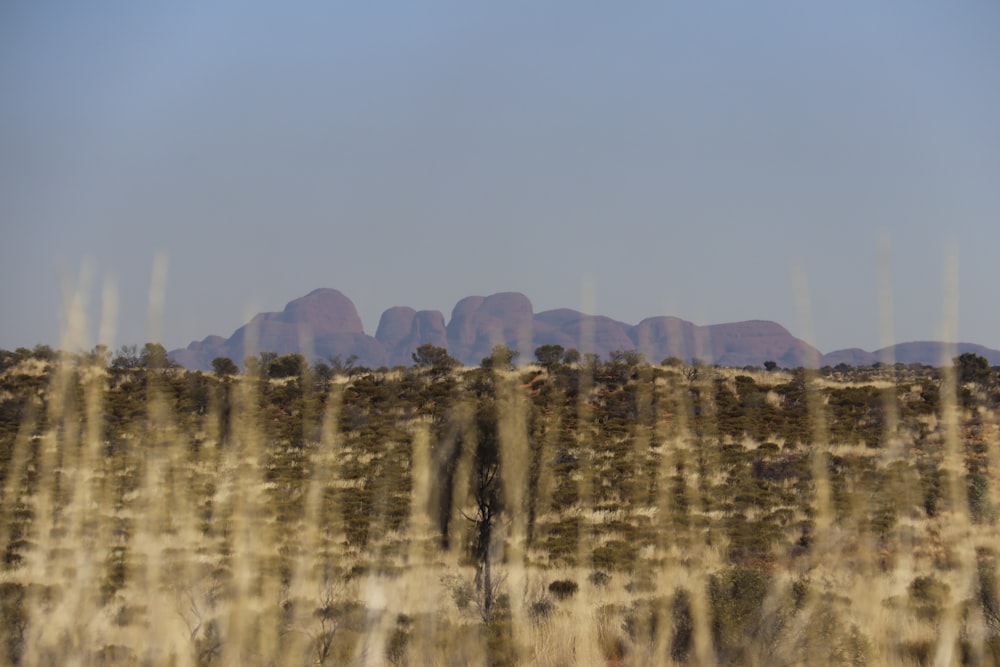 a desert landscape with mountains in the distance