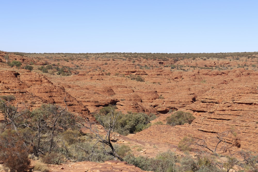 a view of a desert landscape with sparse trees