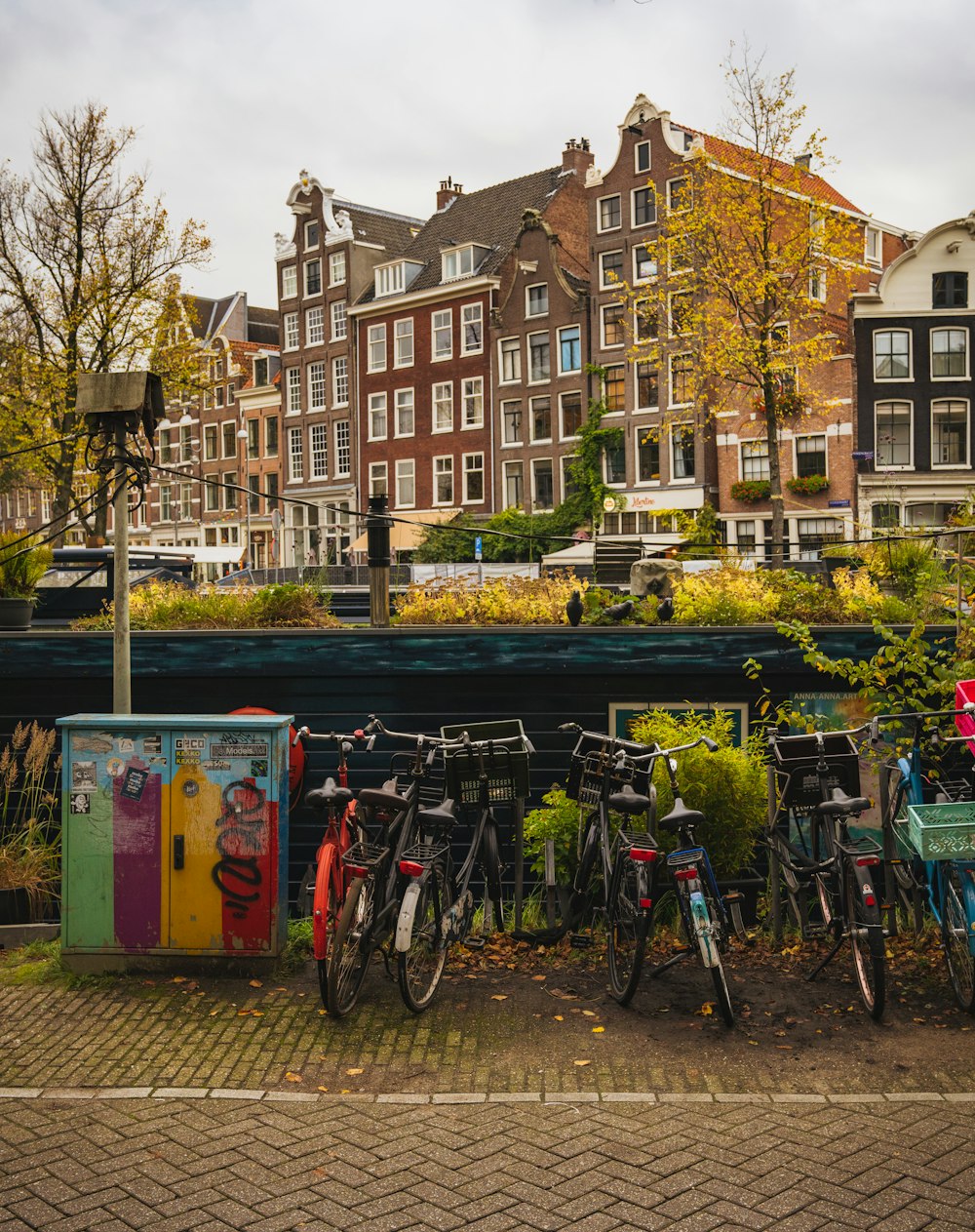 a bunch of bikes parked next to each other