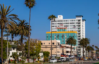 a city street lined with palm trees and tall buildings