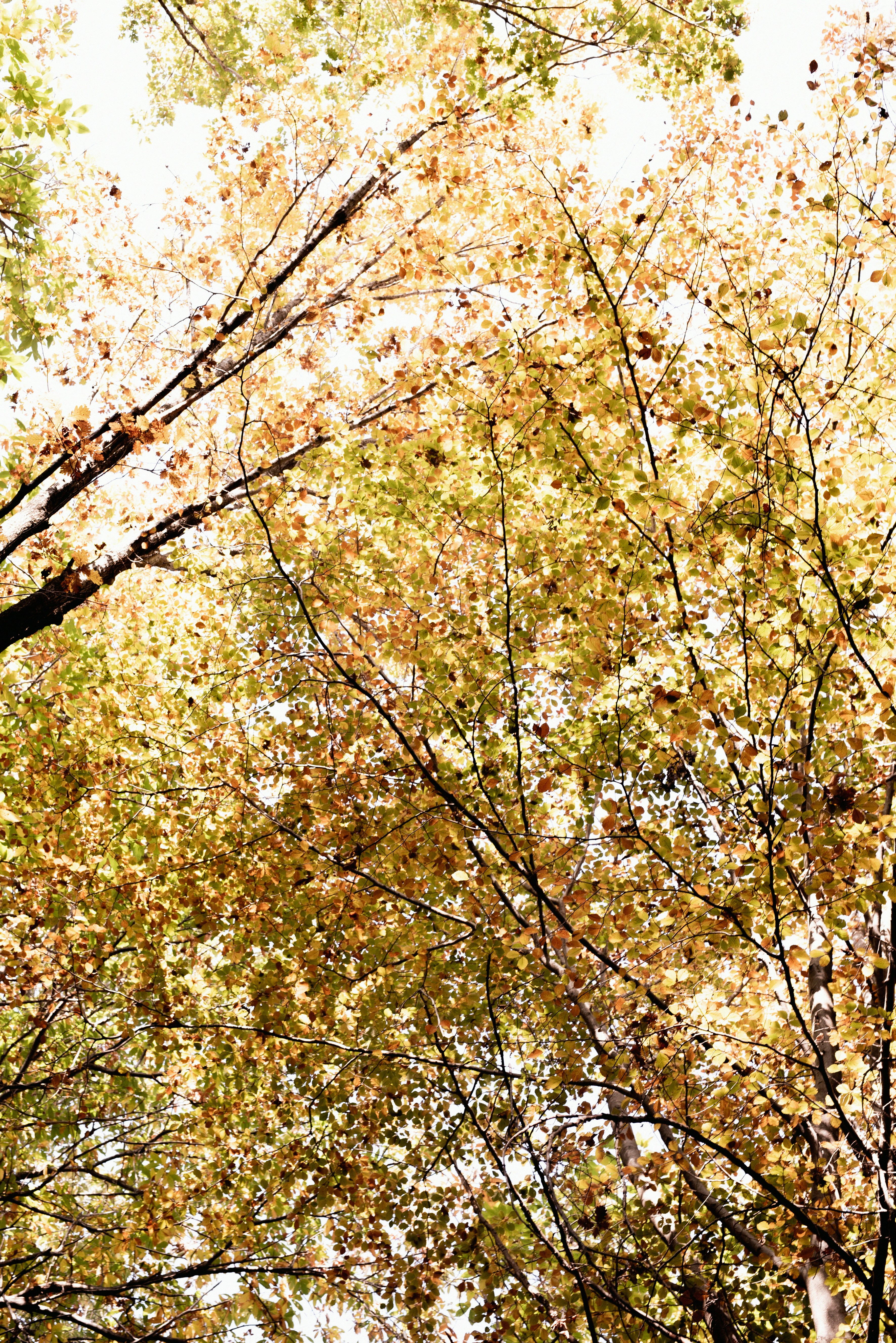 Photo by lauraadaiphoto