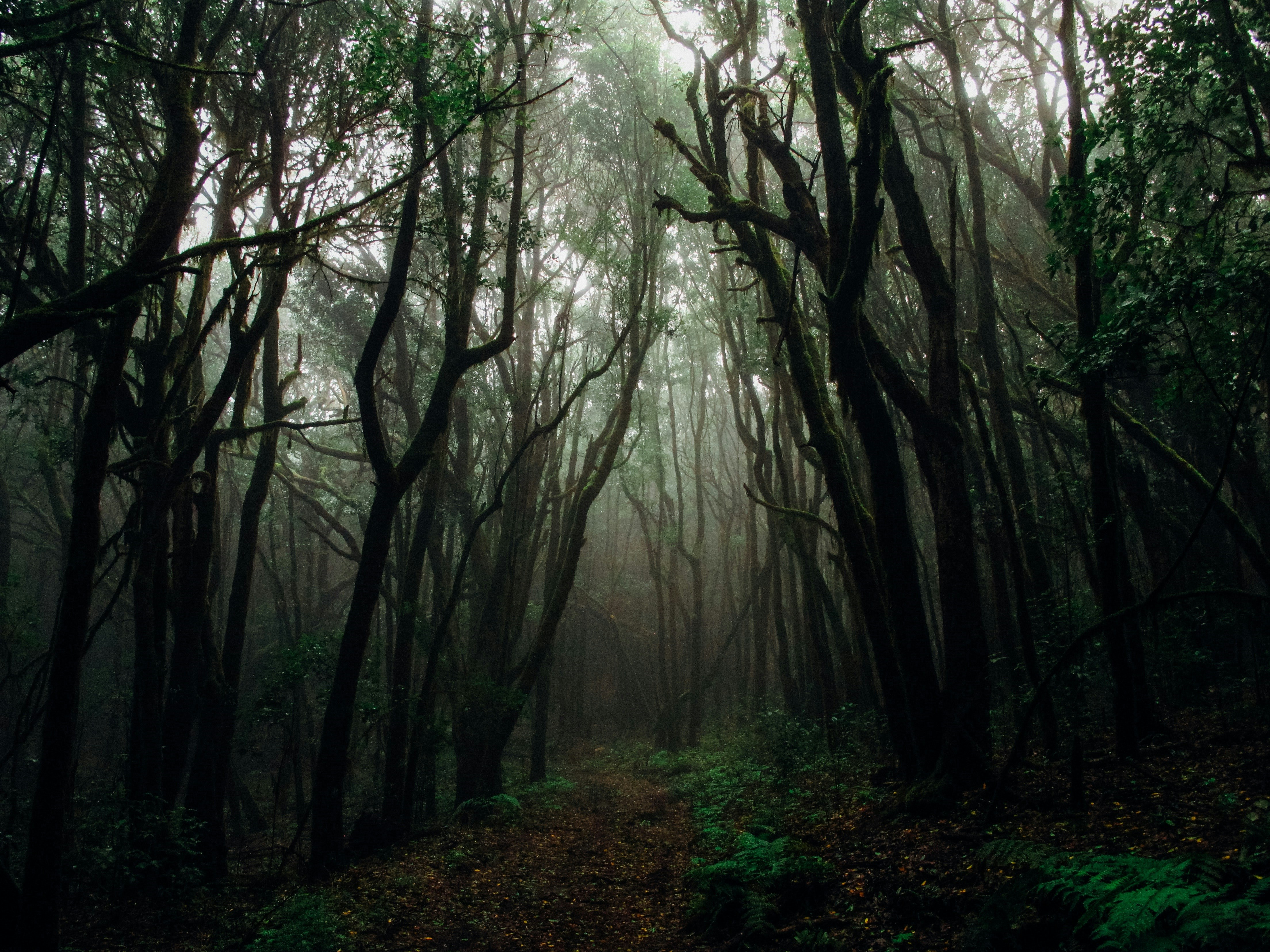 Photo by genaiwalkermacklin