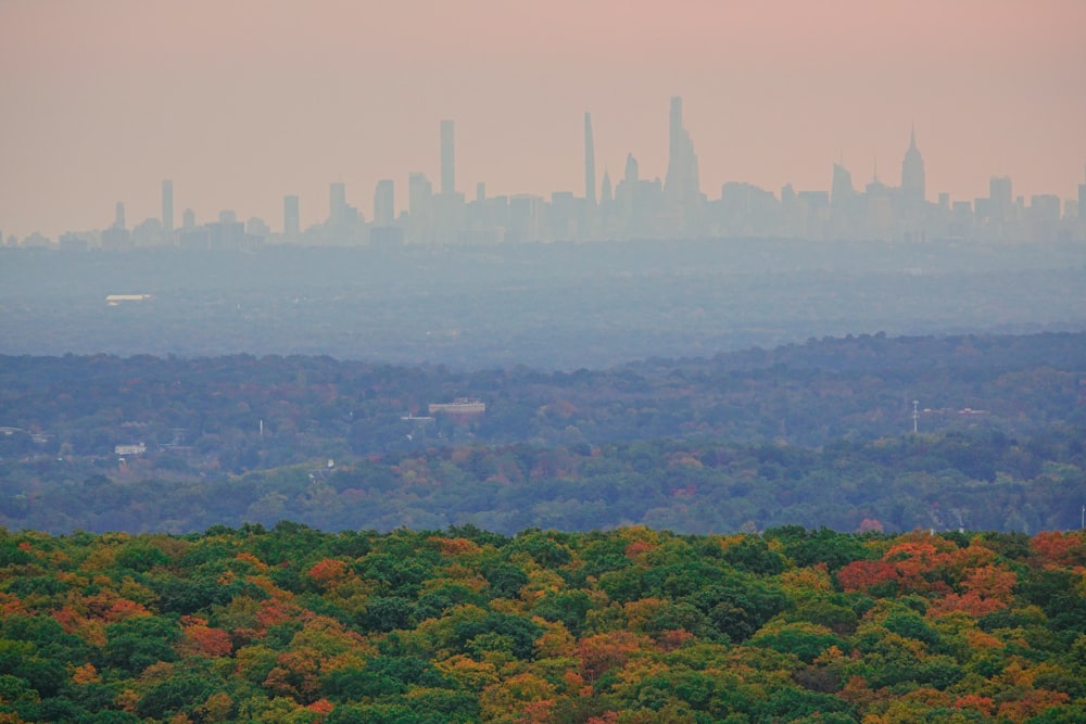 a view of a city skyline from a hill