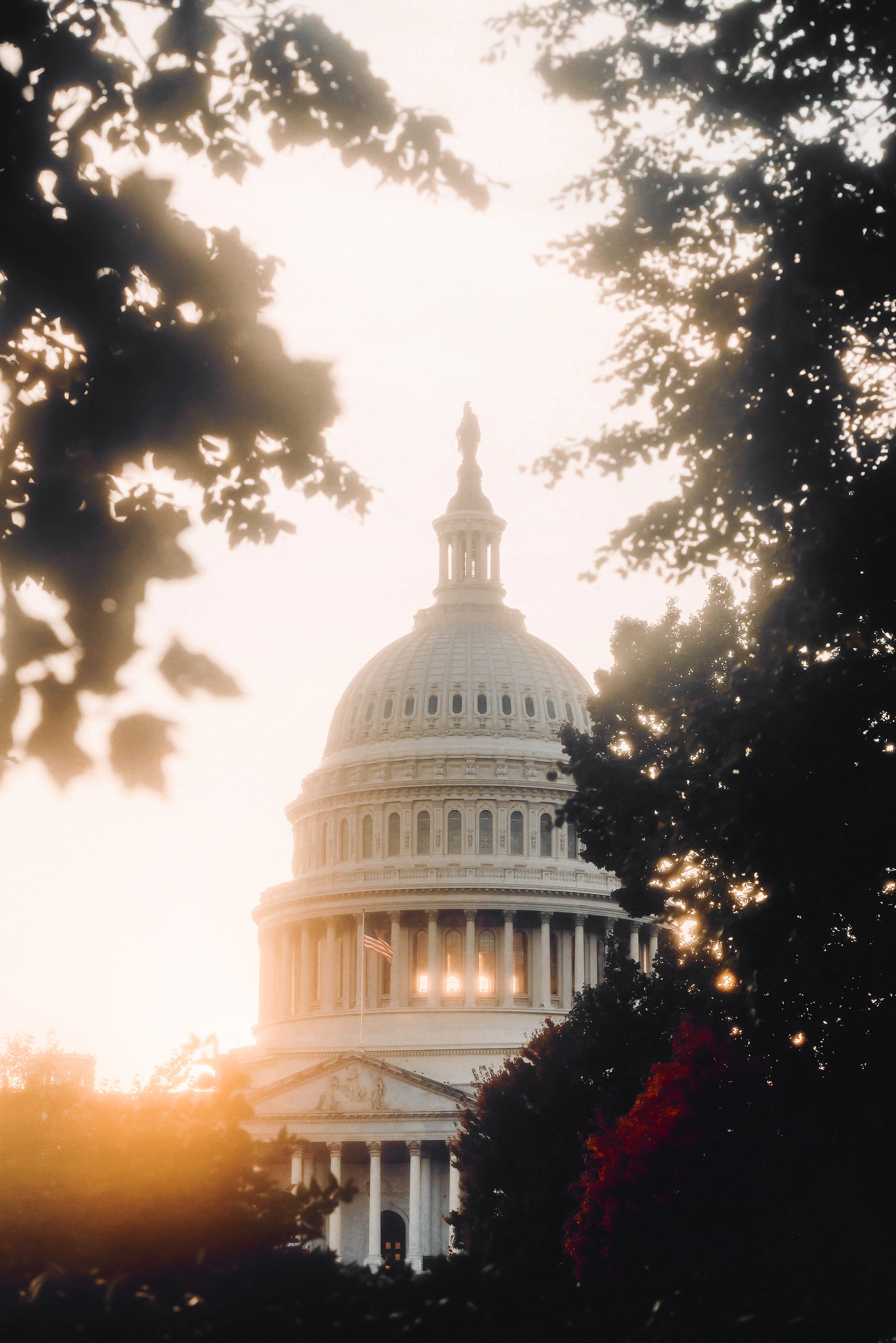 The US Capitol dome framed by trees in warm evening light