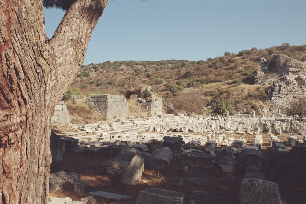 Die Ruinen der antiken Stadt Delphinia
