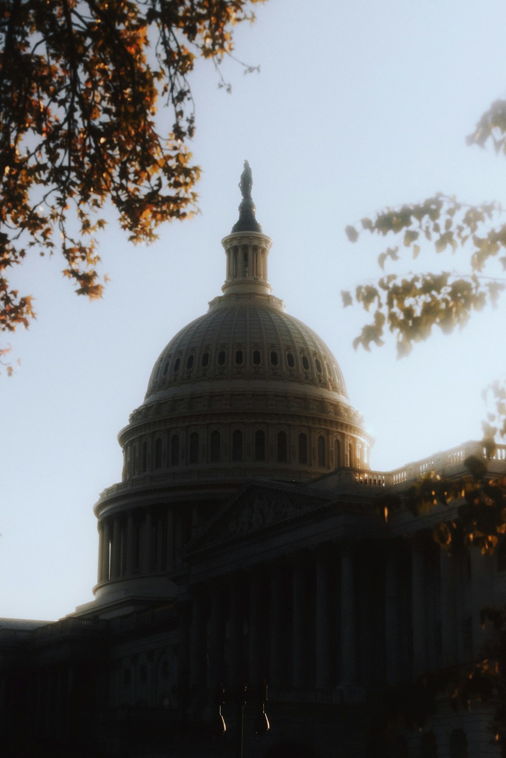 the dome of the capitol building is seen through the trees