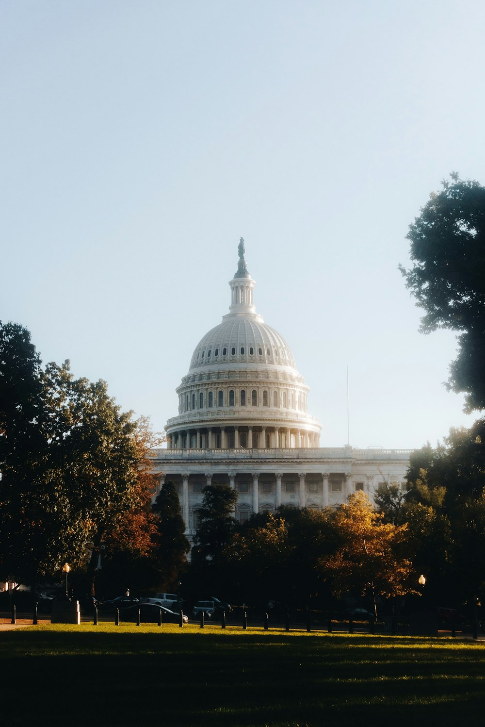 a view of the capitol building from across the park