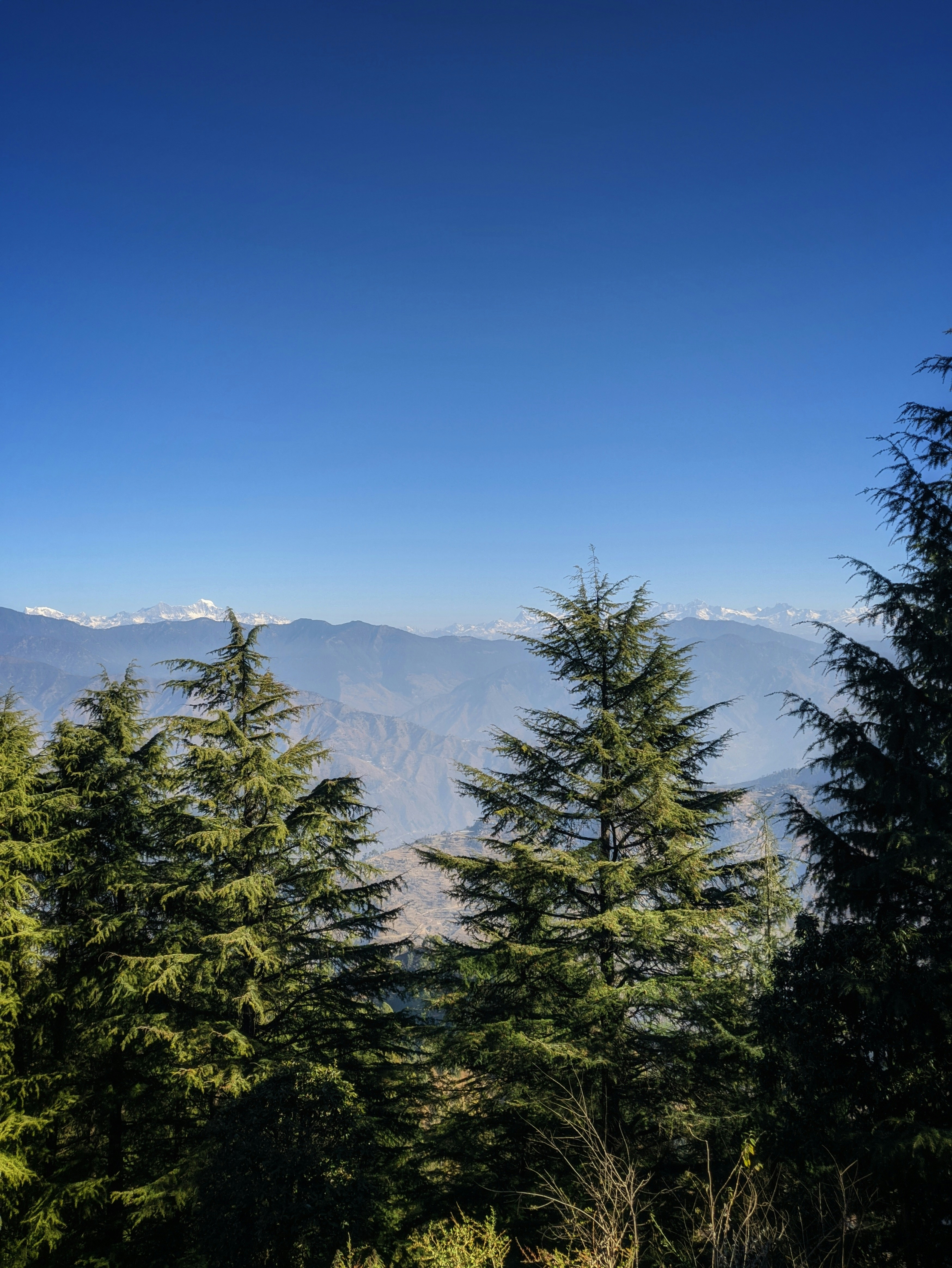 Photo by tanmaysharma001