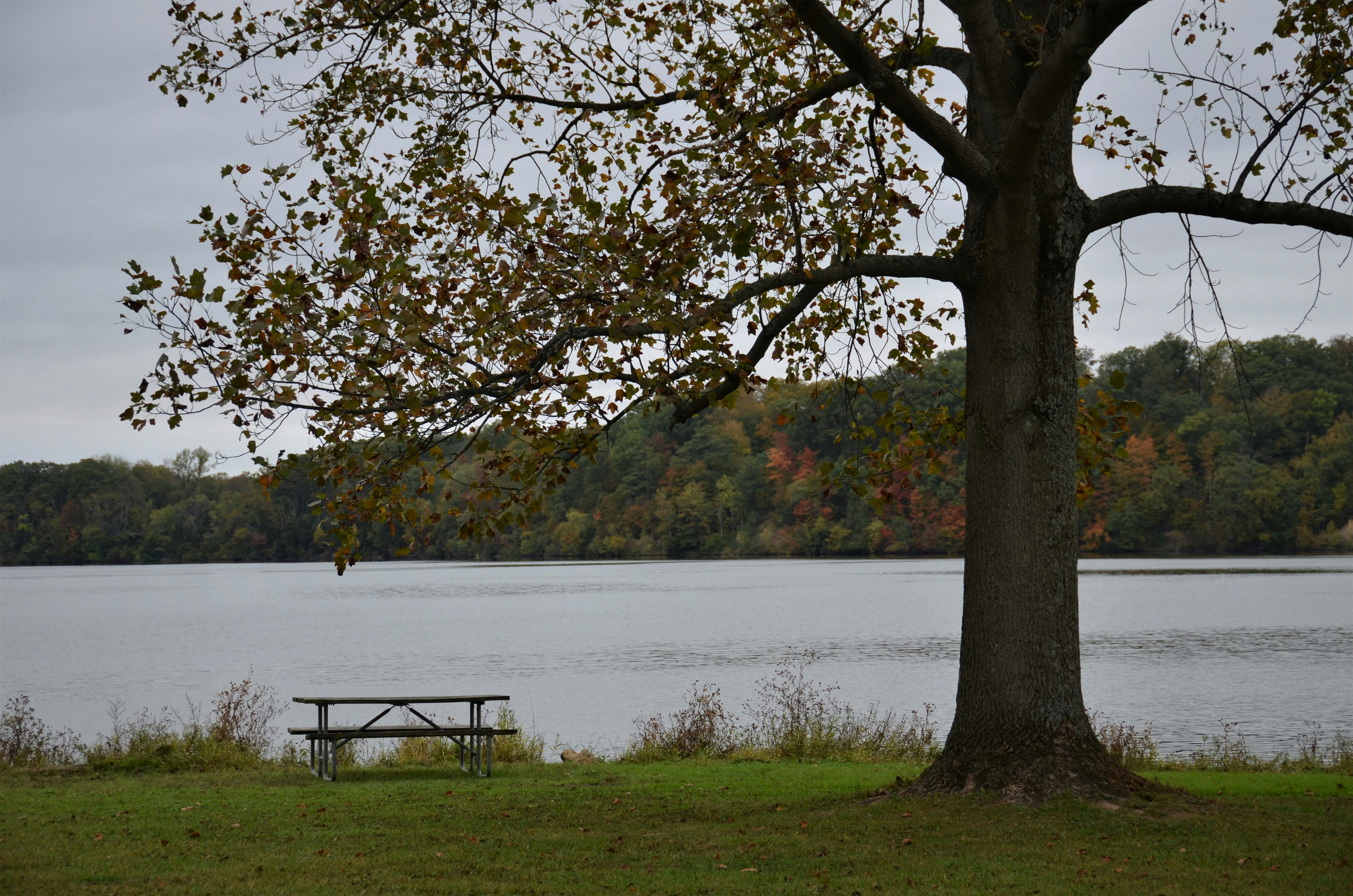 Lake Icaria County Recreation Area