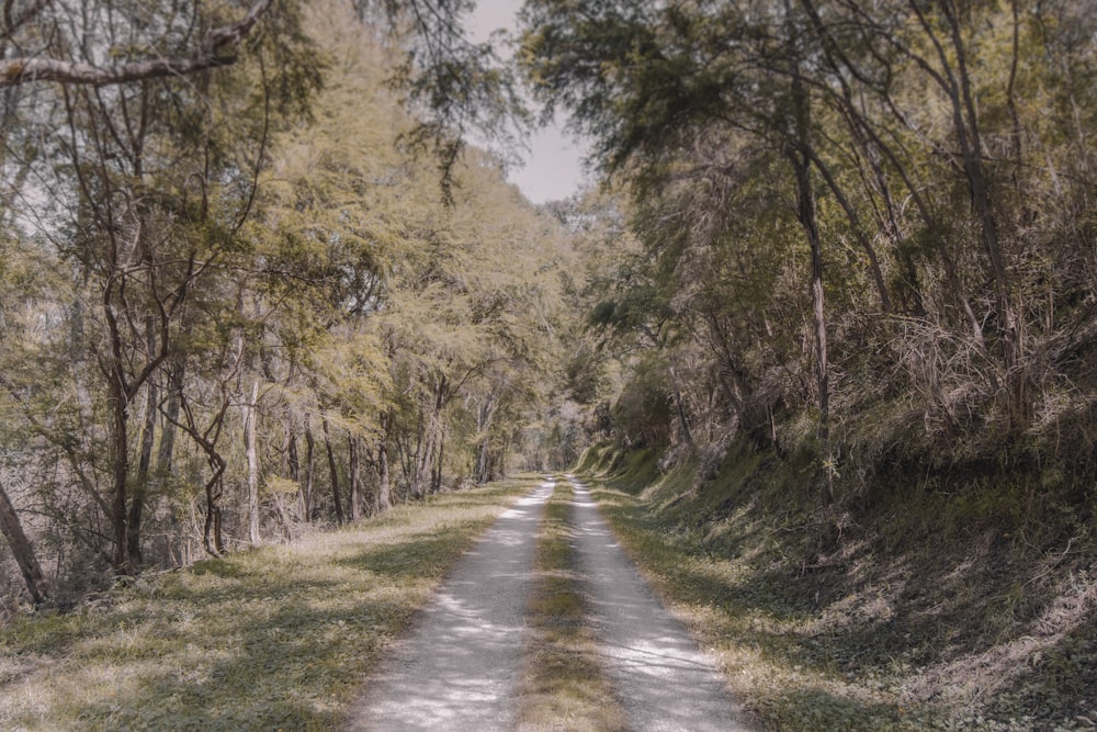 a dirt road surrounded by trees and grass