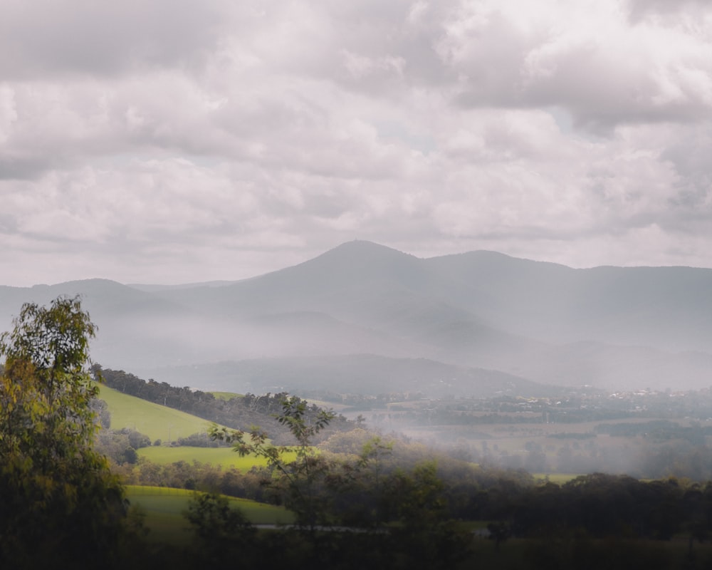 a view of a valley with mountains in the background