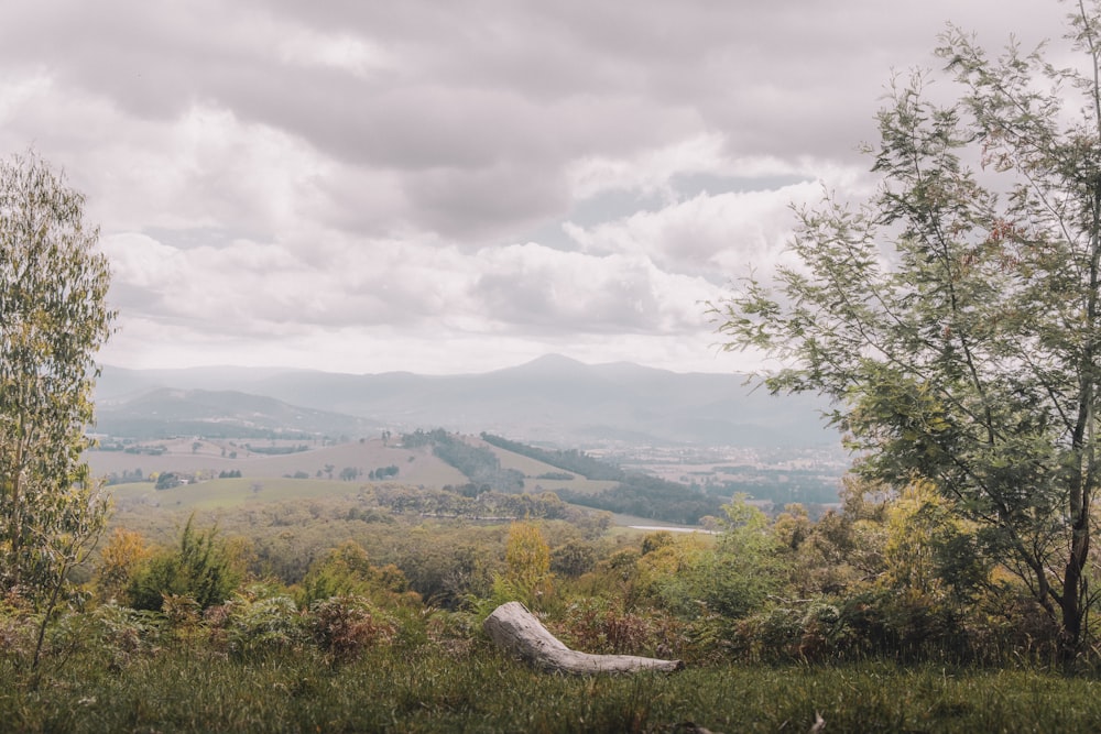 a view of a valley and mountains in the distance